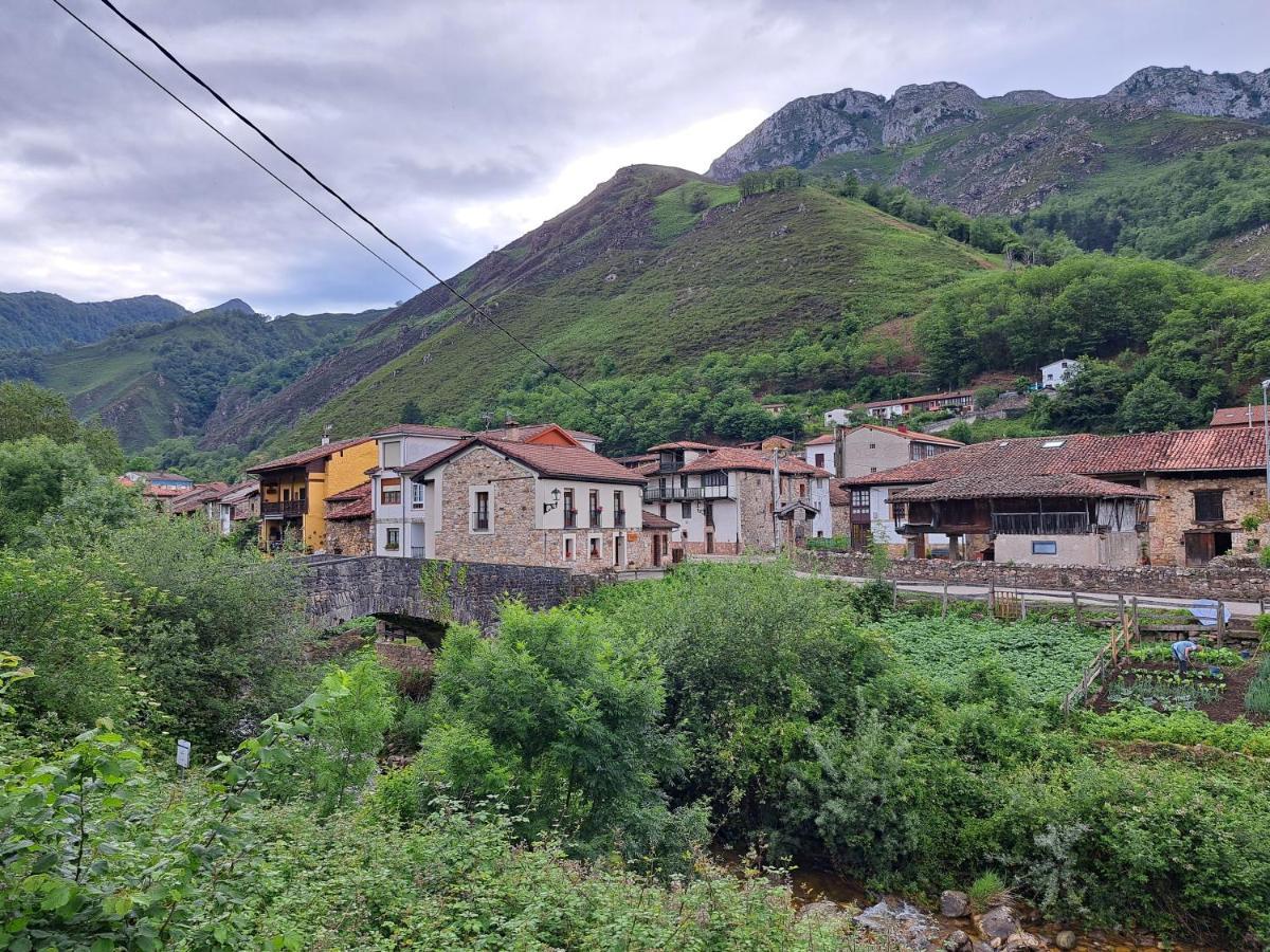 Soto De Agues 博斯克恩坎塔多旅馆旅馆 外观 照片