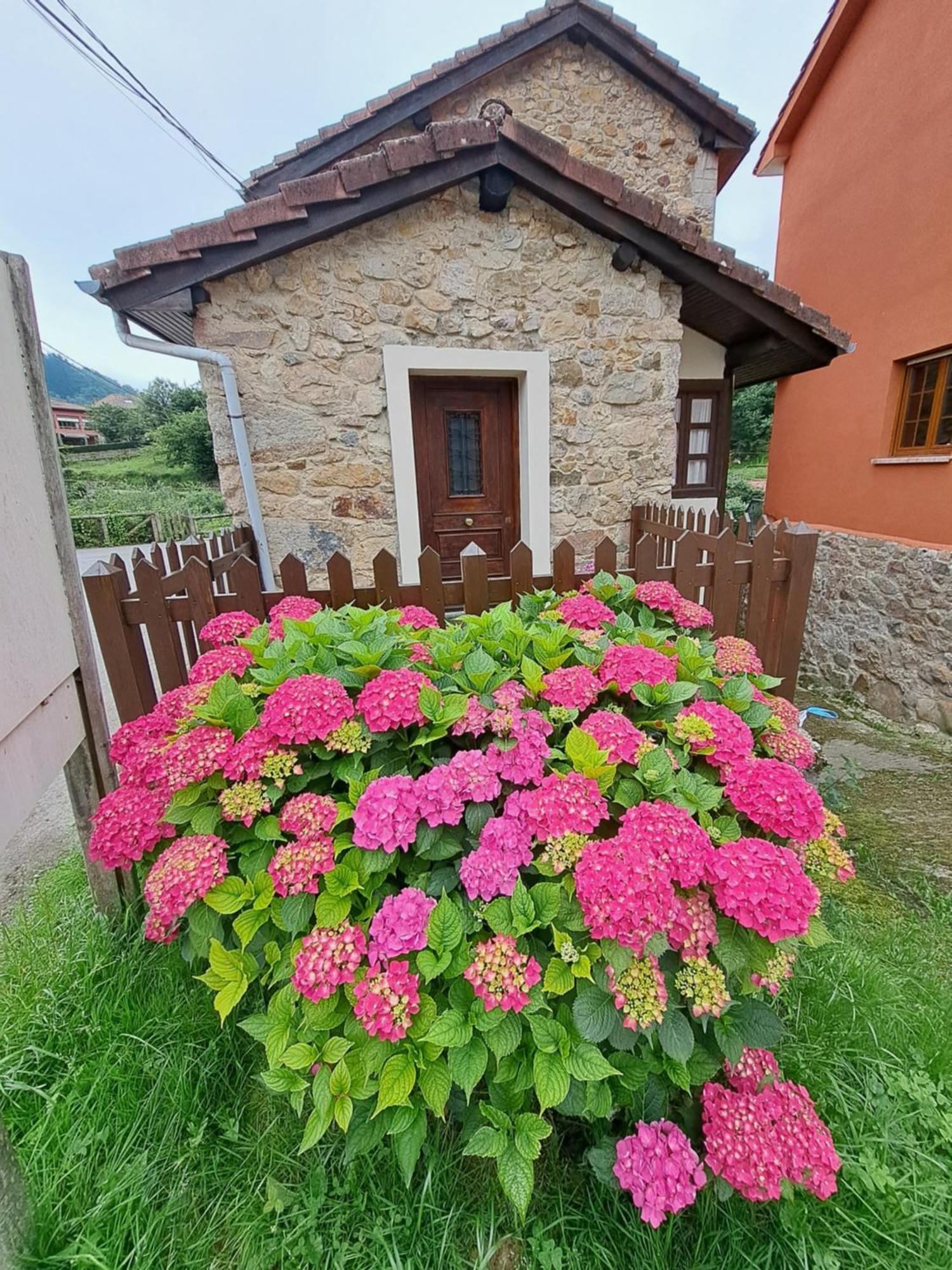 Soto De Agues 博斯克恩坎塔多旅馆旅馆 外观 照片