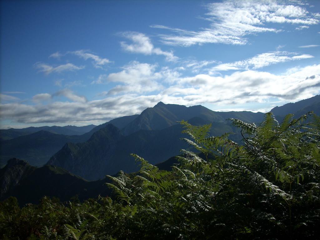 Soto De Agues 博斯克恩坎塔多旅馆旅馆 外观 照片